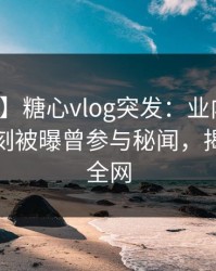 【爆料】糖心vlog突发：业内人士在夜间时刻被曝曾参与秘闻，揭秘席卷全网