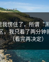 看到这里我愣住了，所谓“黑料漫画”的评论区，我只看了两分钟就想退出（看完再决定）