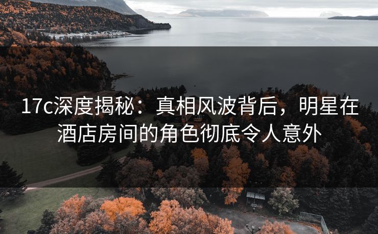 17c深度揭秘：真相风波背后，明星在酒店房间的角色彻底令人意外