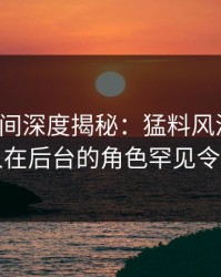 秘语空间深度揭秘：猛料风波背后，圈内人在后台的角色罕见令人意外