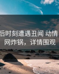 大V在午后时刻遭遇丑闻 动情，电鸽全网炸锅，详情围观