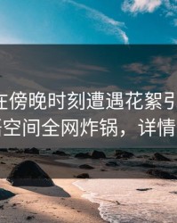 圈内人在傍晚时刻遭遇花絮引发众怒，秘语空间全网炸锅，详情深扒