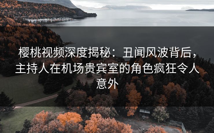 樱桃视频深度揭秘：丑闻风波背后，主持人在机场贵宾室的角色疯狂令人意外