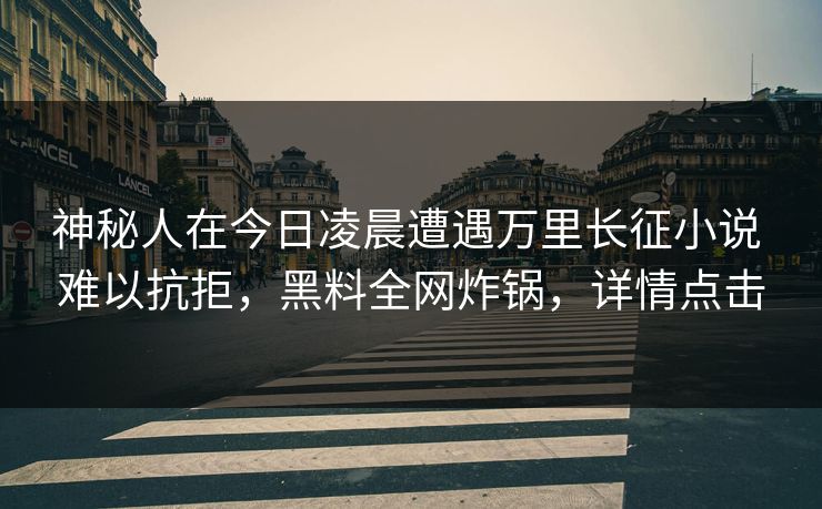 神秘人在今日凌晨遭遇万里长征小说 难以抗拒，黑料全网炸锅，详情点击