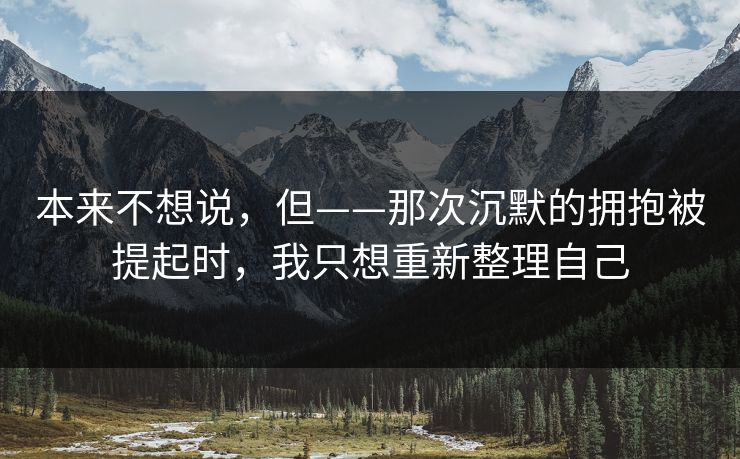 本来不想说，但——那次沉默的拥抱被提起时，我只想重新整理自己