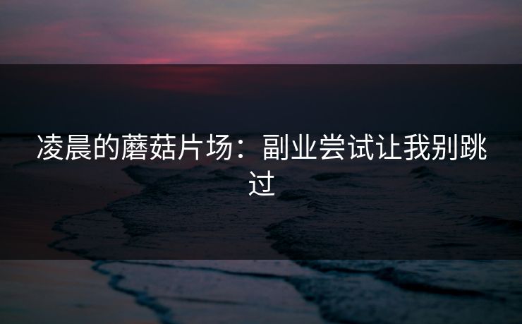 凌晨的蘑菇片场：副业尝试让我别跳过